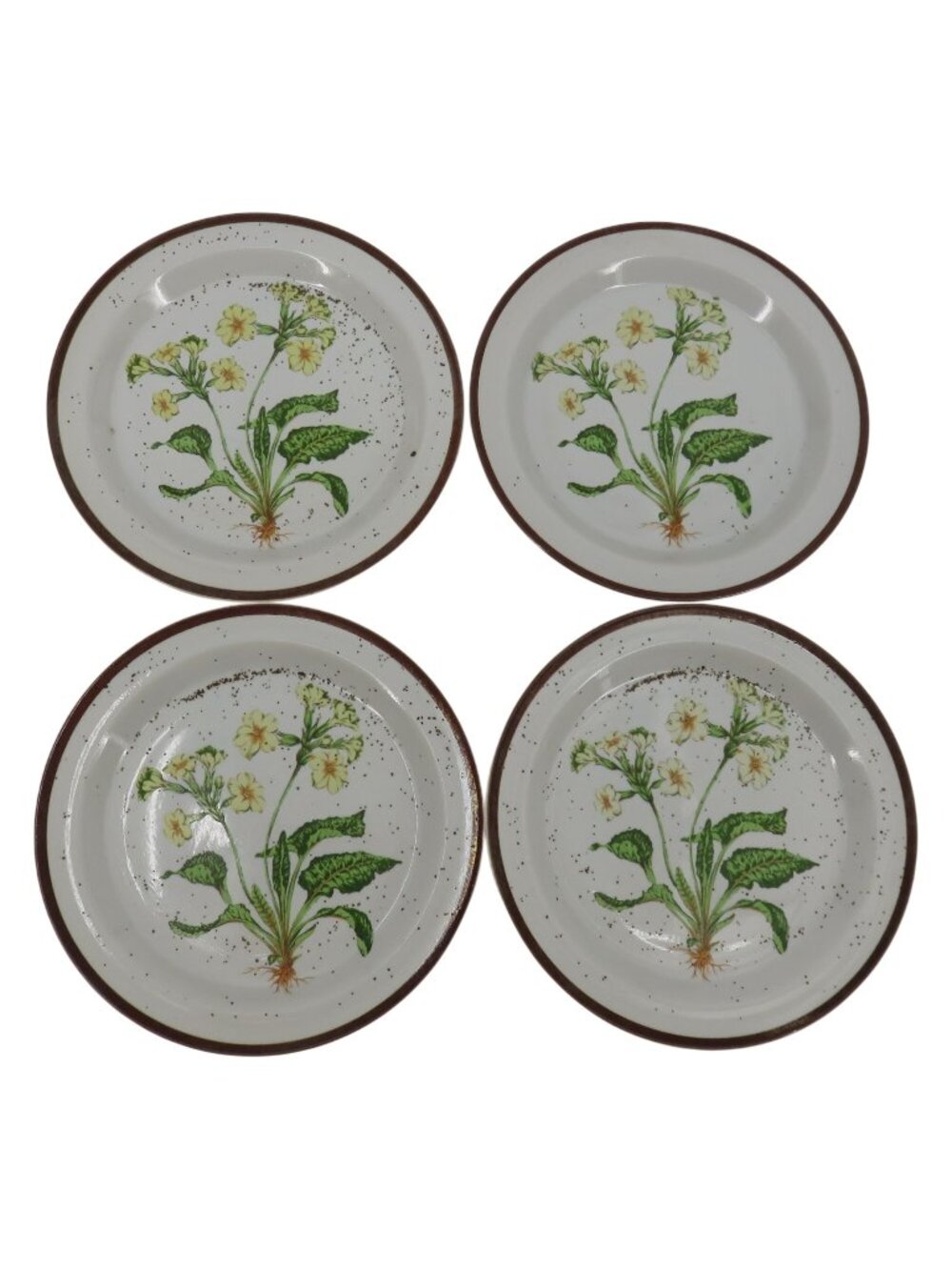 Hearthside 8 Inch Set of 4 Plates Buffet Ware No 653 Botanical Floral Speckled